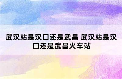 武汉站是汉口还是武昌 武汉站是汉口还是武昌火车站